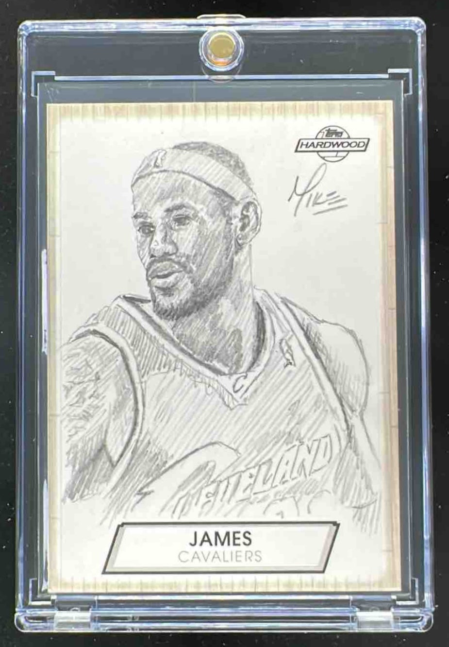 2008-09 Topps Hardwood Sketches #HS-LJ LeBron James 1/1